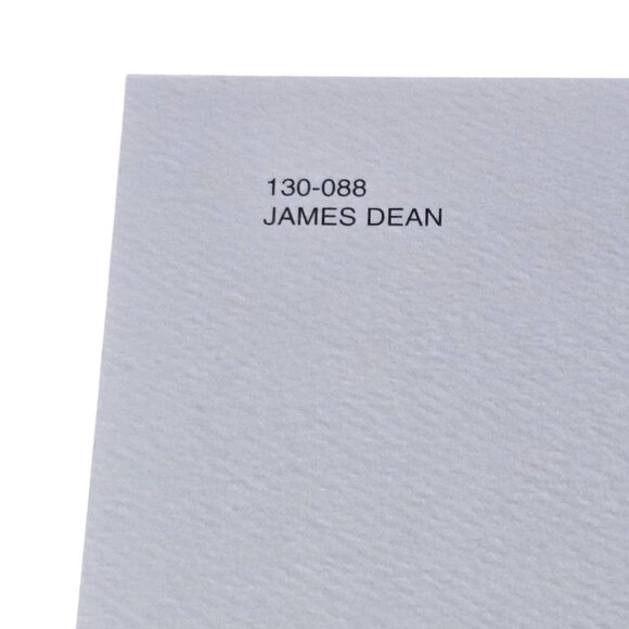 James Dean on the set of "Giant" - Ludlow Collection Black & White Print 2023 - Picture 5 of 5